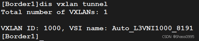Border1_VXLAN_Tunnel_Info