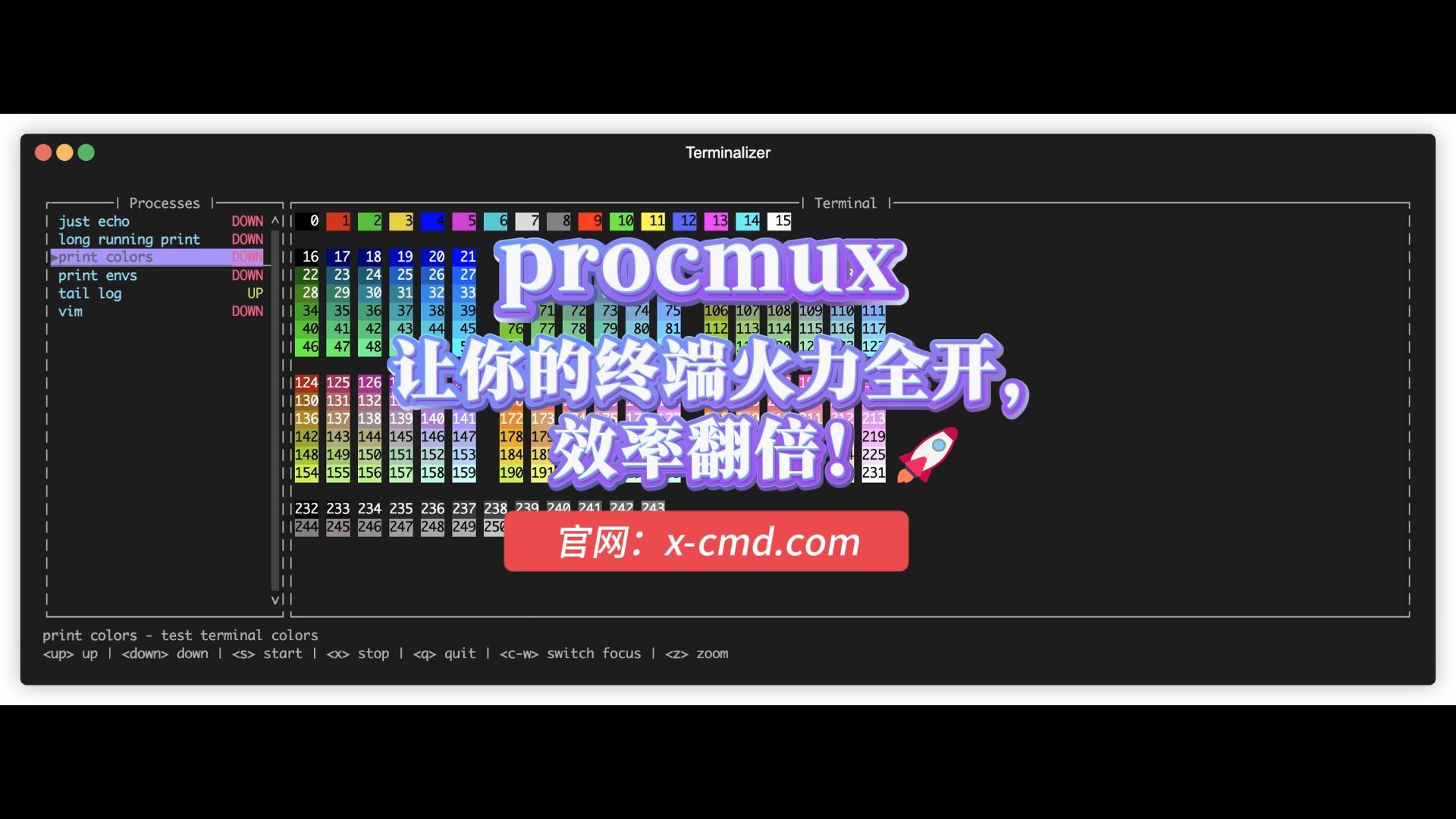 文章图片