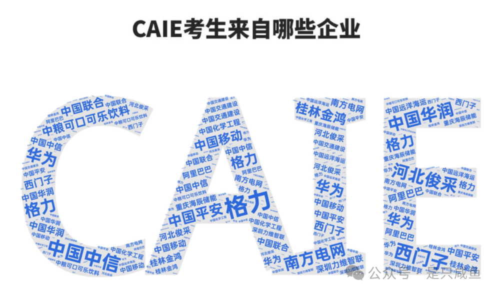 CAIE考生来源.png