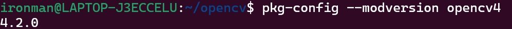 WSL2+Ubuntu20.04+ROS1 Noetic下，如何复现ORB-SLAM3算法_wsl ubuntu ros