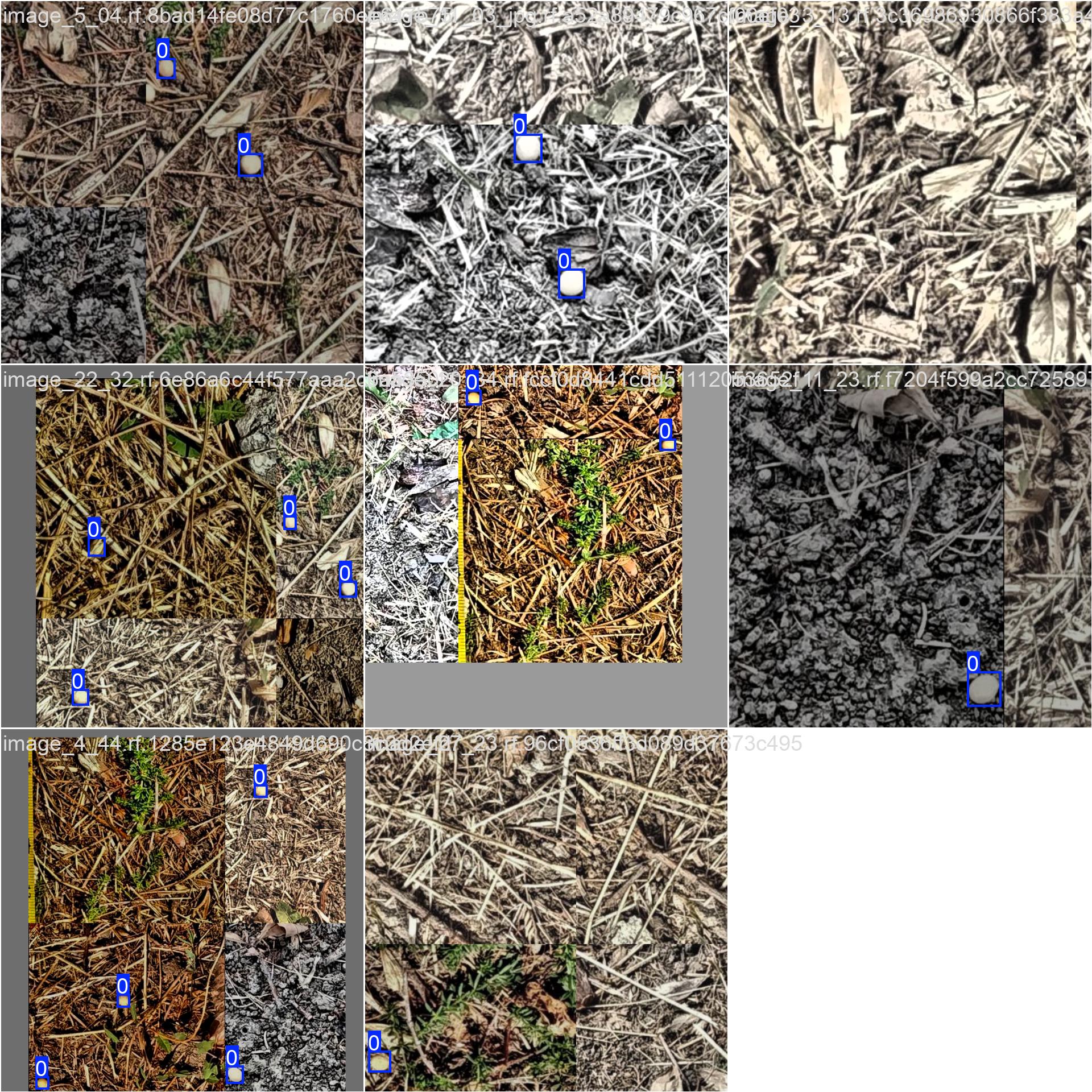 YOLOv8大豆识别检测系统(项目源码+YOLO数据集+模型权重+UI界面+python+深度学习+环境配置)-CSDN博客