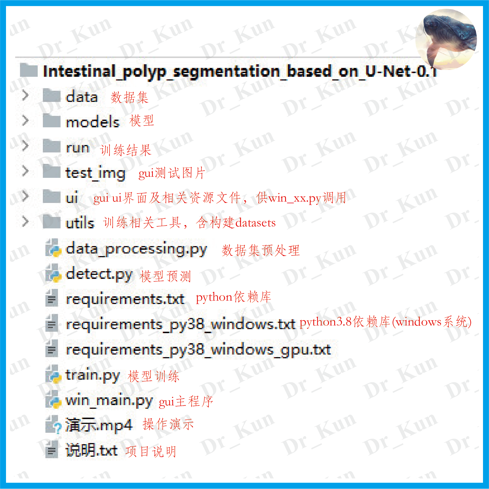 【鲲码园Python】基于unet的肠息肉分割系统(1类)-CSDN博客