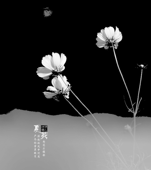 低阈值零处理效果