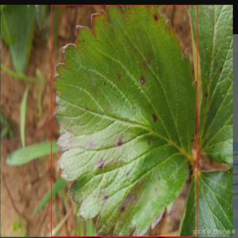 在这里插入图片描述