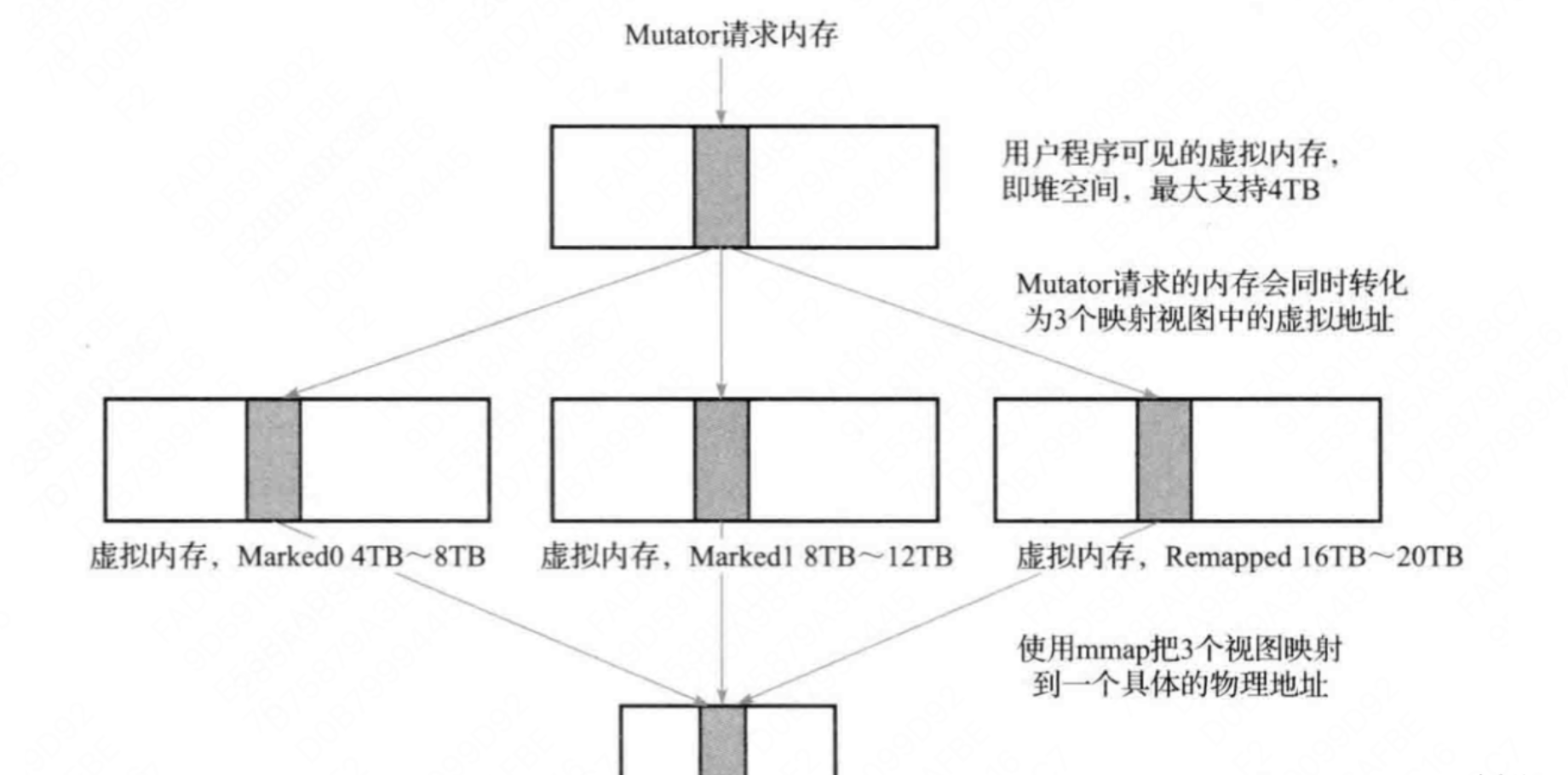 Java程序员廖志伟