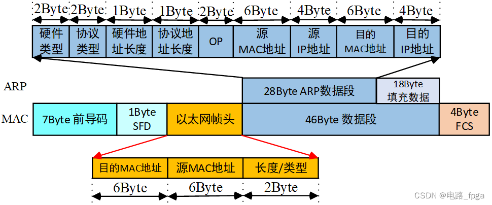 ARP数据包格式