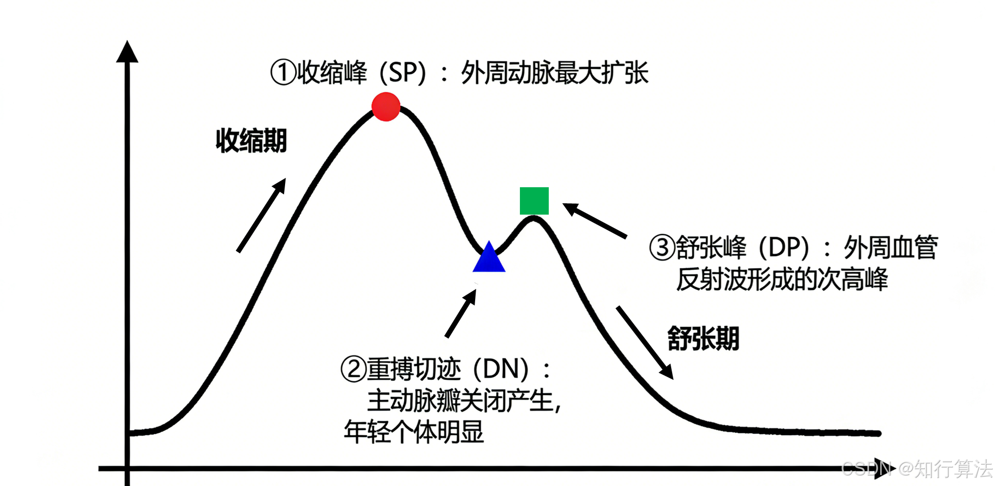 「ppg信号处理——（1）光电容积脉搏波（ppg）信号的形成机制、原理与分析」2025年12月17日 Csdn博客 