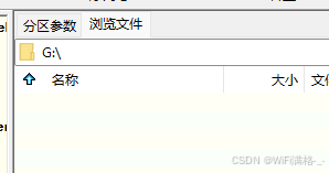 MSR分区内容
