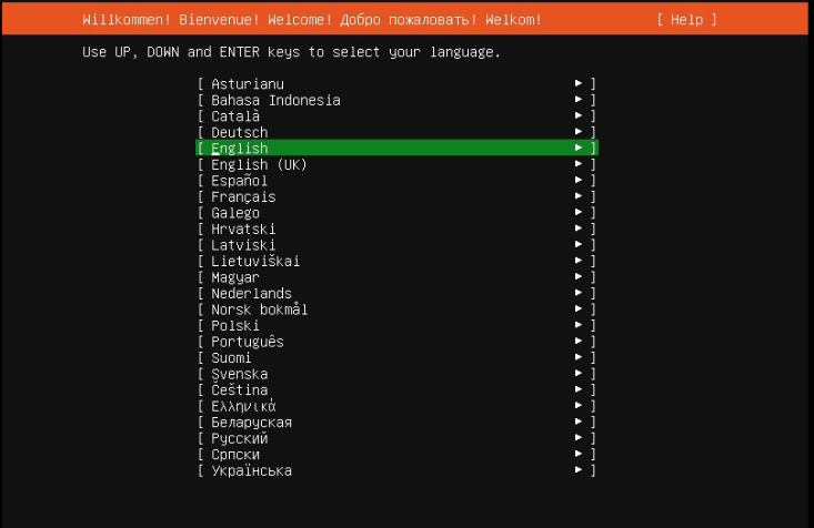 Ubuntu 20.04.4 Server 图文安装教程[含磁盘分区、设置固定IP地址]_ubuntu server安装教程