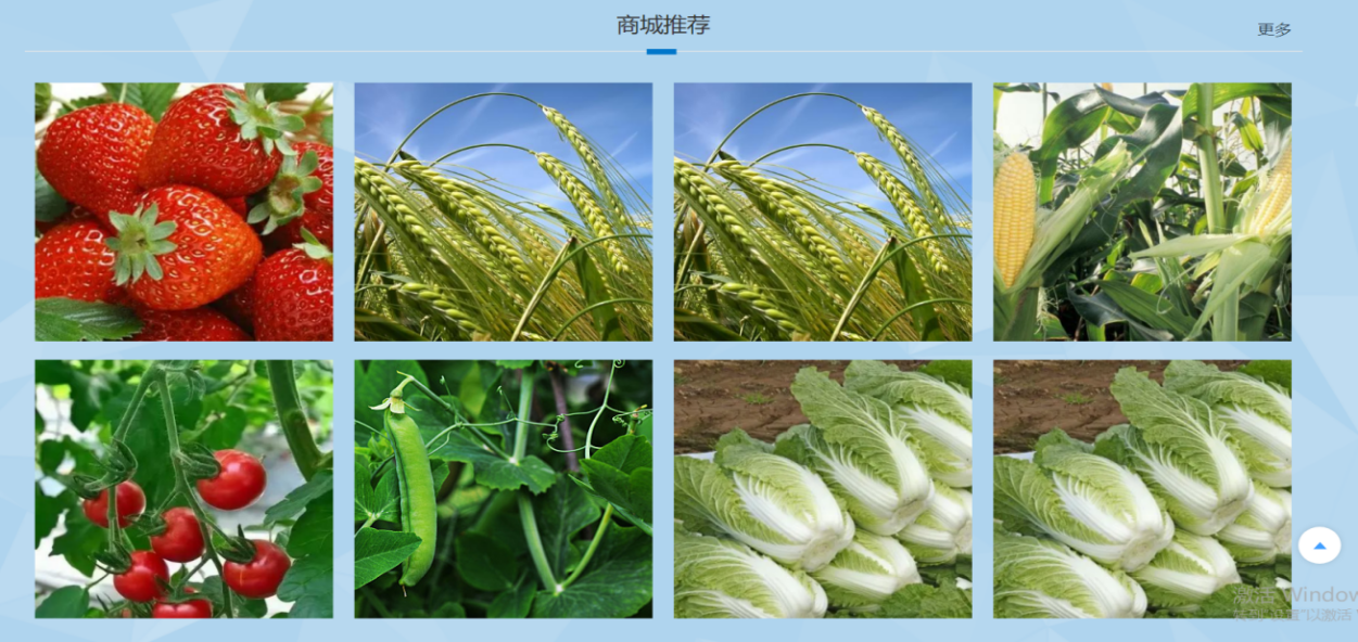 image_013.png