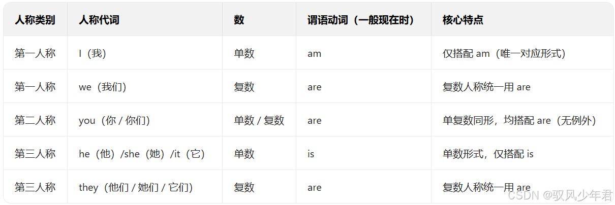 英语人称代词从基础到应用-CSDN博客