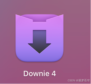 Downie4下载工具