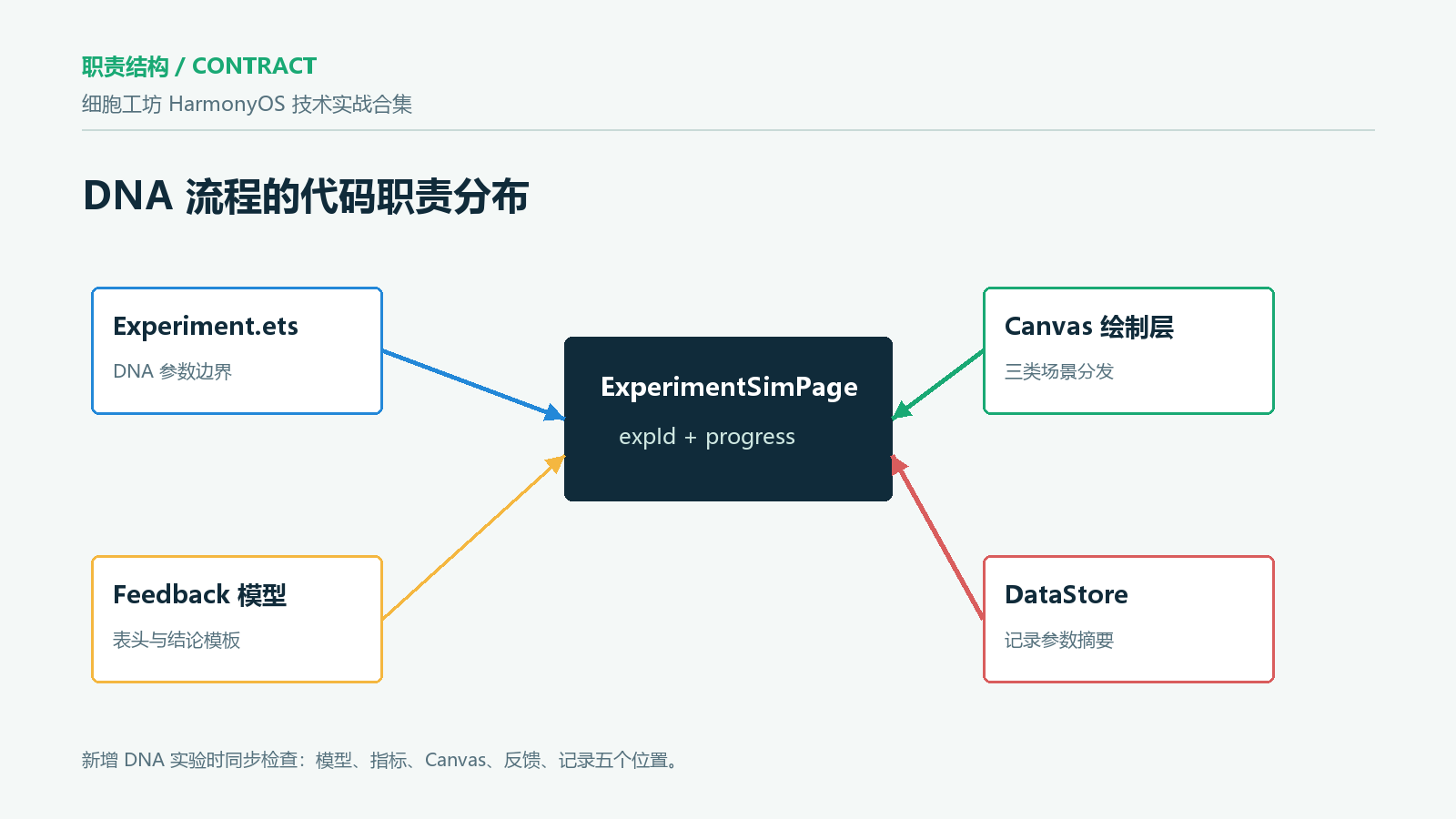 结构图:DNA 实验的代码归属