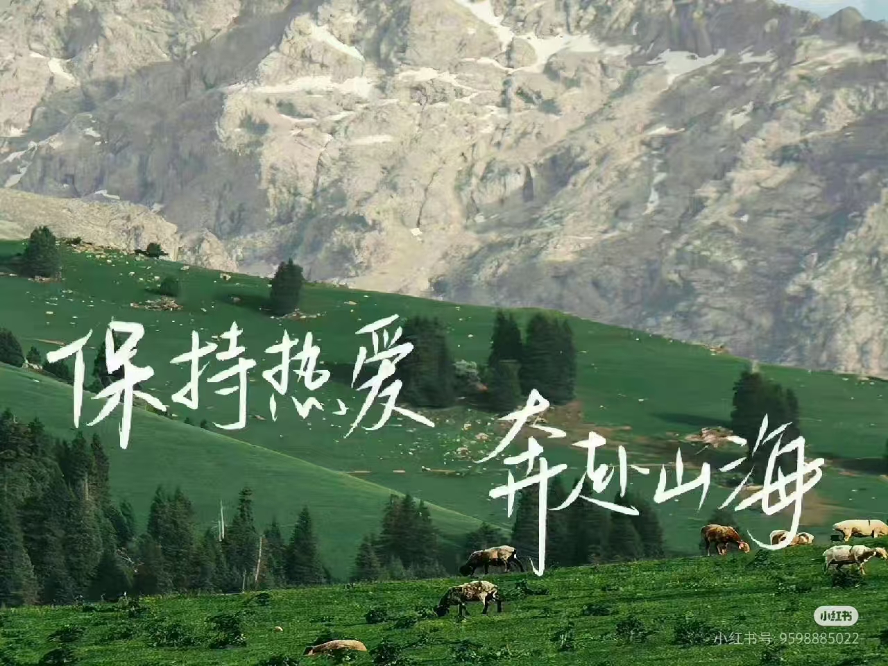 文章图片