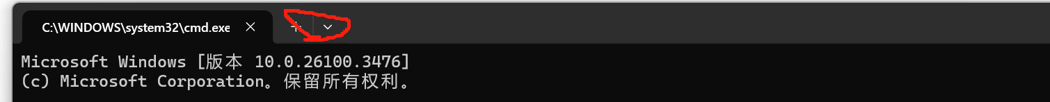 Win11中:打开cmd时,显示找到一个带有无效 “icon“ 的配置文件。将该配置文件默认为无图标。_找到一个带有无效