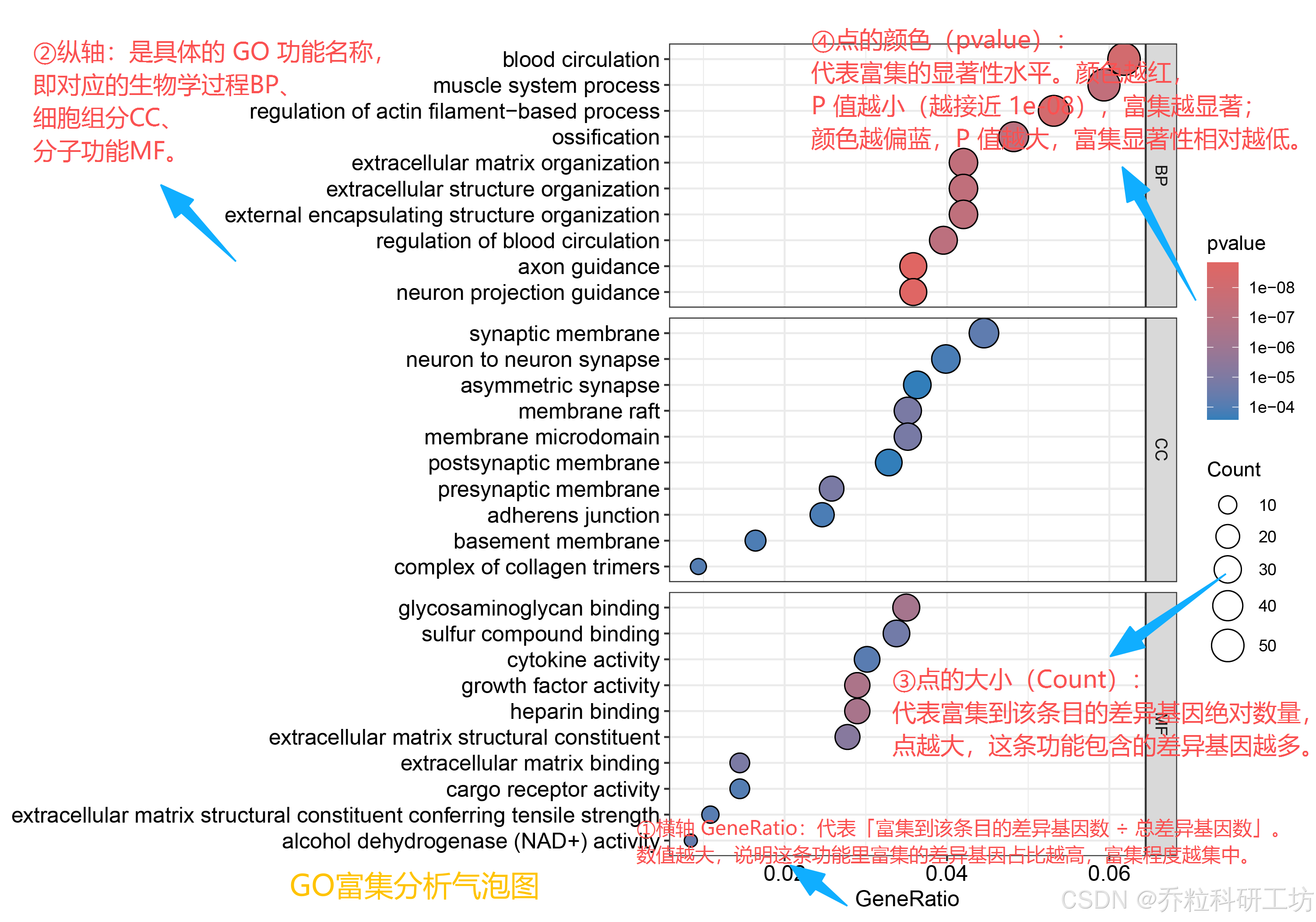 RNA-seq (6)——GO/KEGG 富集分析｜柱状图、气泡图、圈图全套绘制-CSDN博客