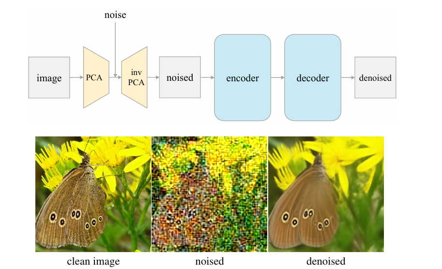 The latent Denoising Autoencoder (l-DAE) architecture