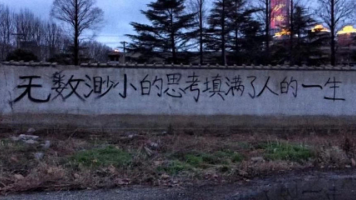 文章图片