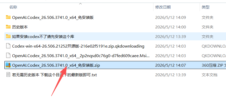 [图片9：Codex 解压后目录]