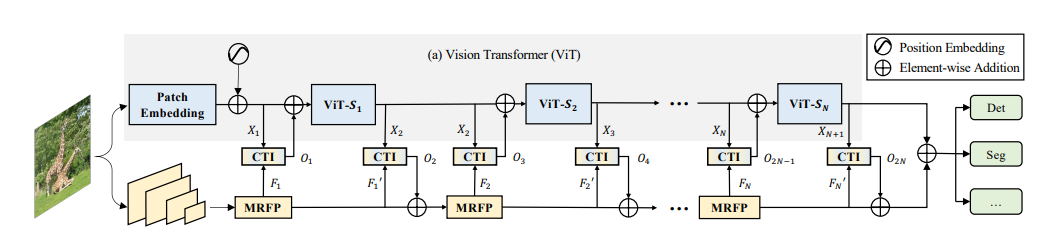 The overall architecture of ViT-CoMer.