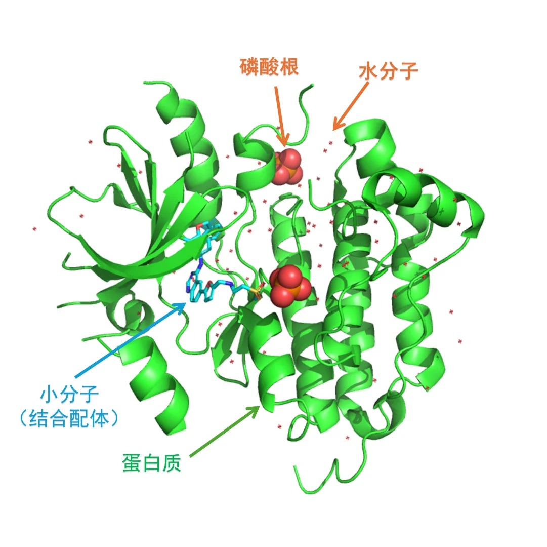 PyMol实用技巧：快速删除蛋白质和小分子以外的杂质_pymol去除配体命令 remove not polymer-CSDN博客