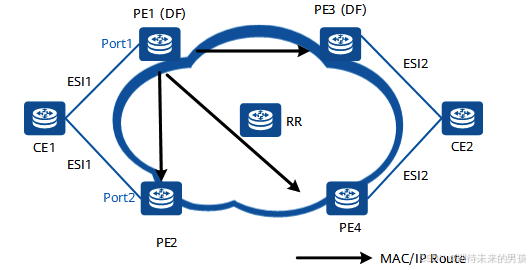 Type2路由发布示意图