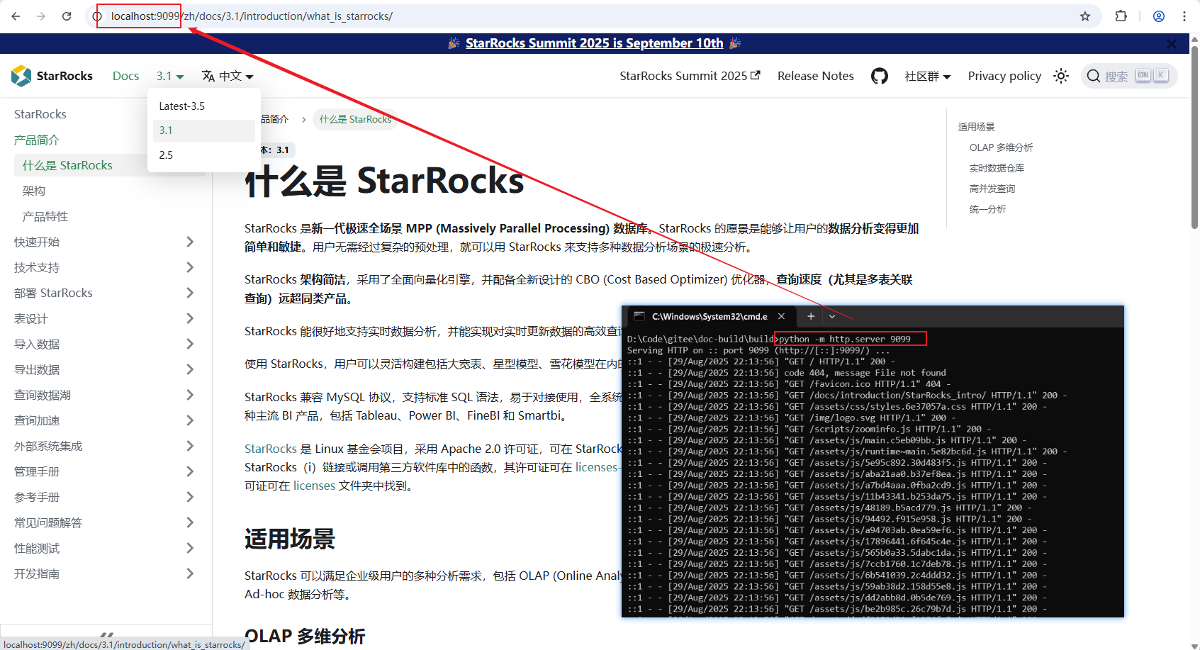 python开启web服务