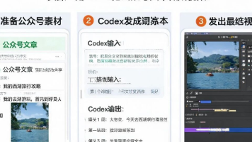 文章图片