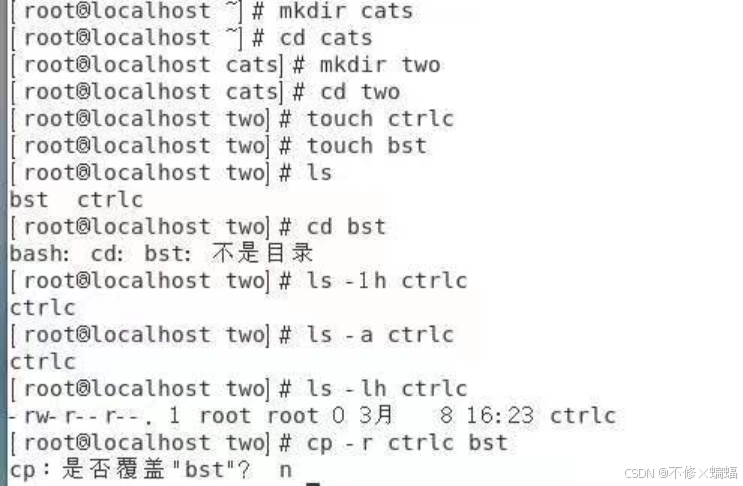 ⭐Linux指令大全⭐---有这一篇就够了_linux 指令-CSDN博客