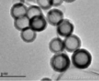 氨基化介孔二氧化钛100nm，NH2-TiO2纳米颗粒高效钙钛矿太阳能电池_氨基修饰的氧化钛的制备-CSDN博客