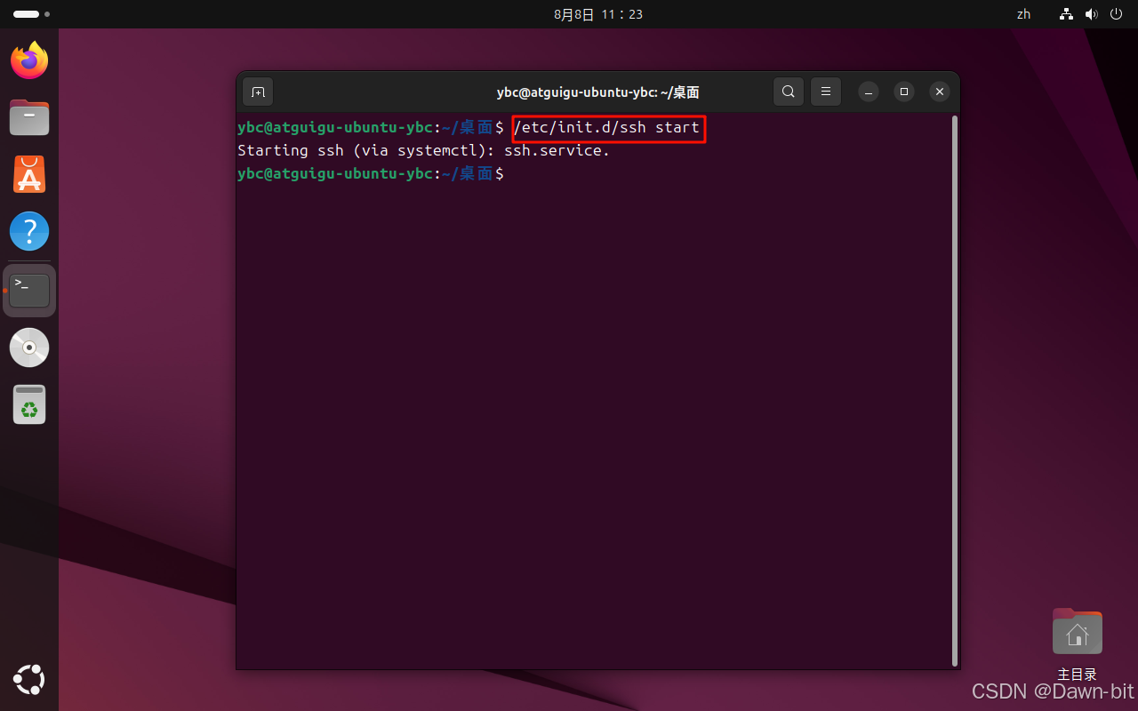 查看 Ubuntu IP 地址