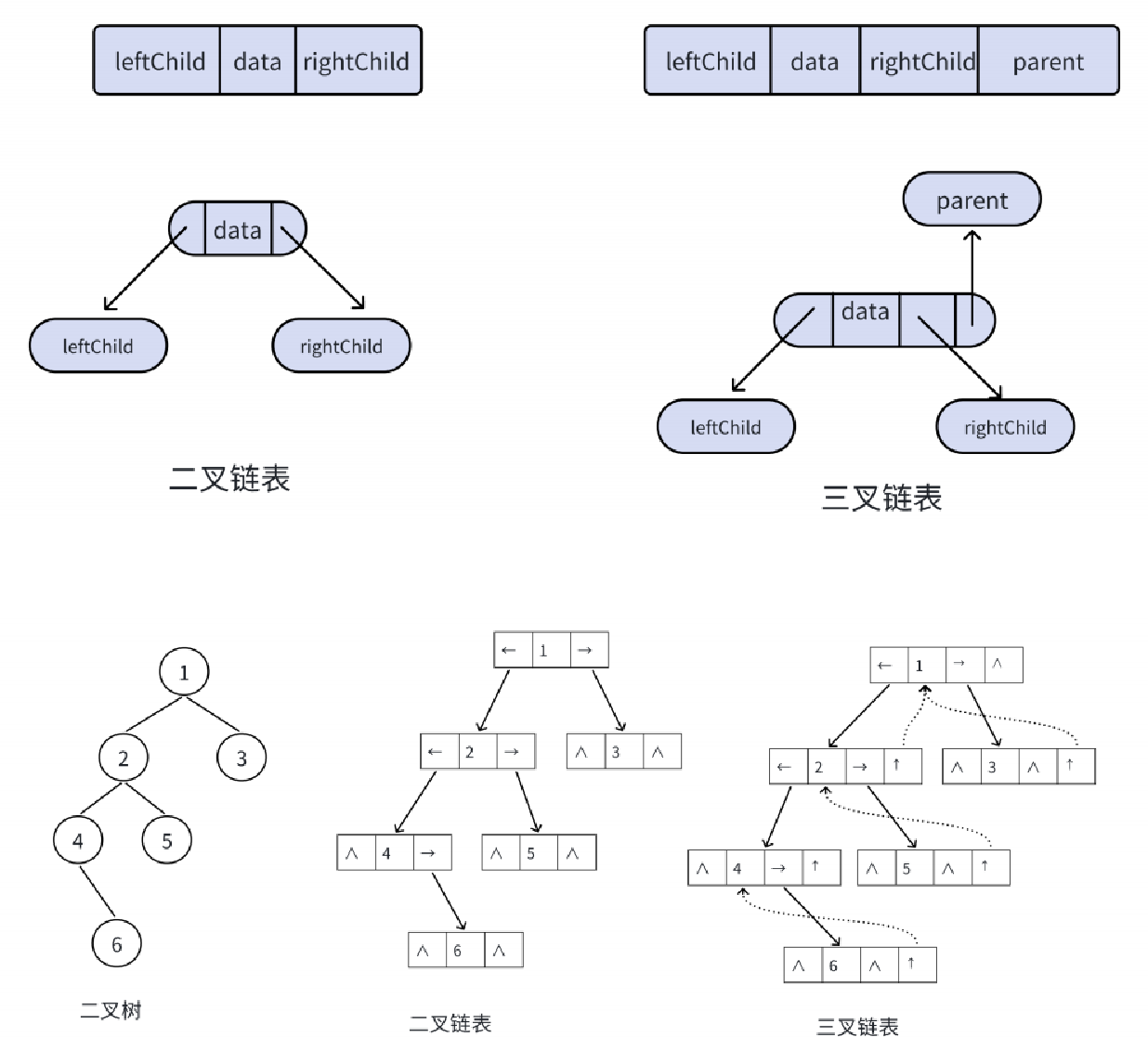 【数据结构初阶】--树与二叉树预备篇-CSDN博客