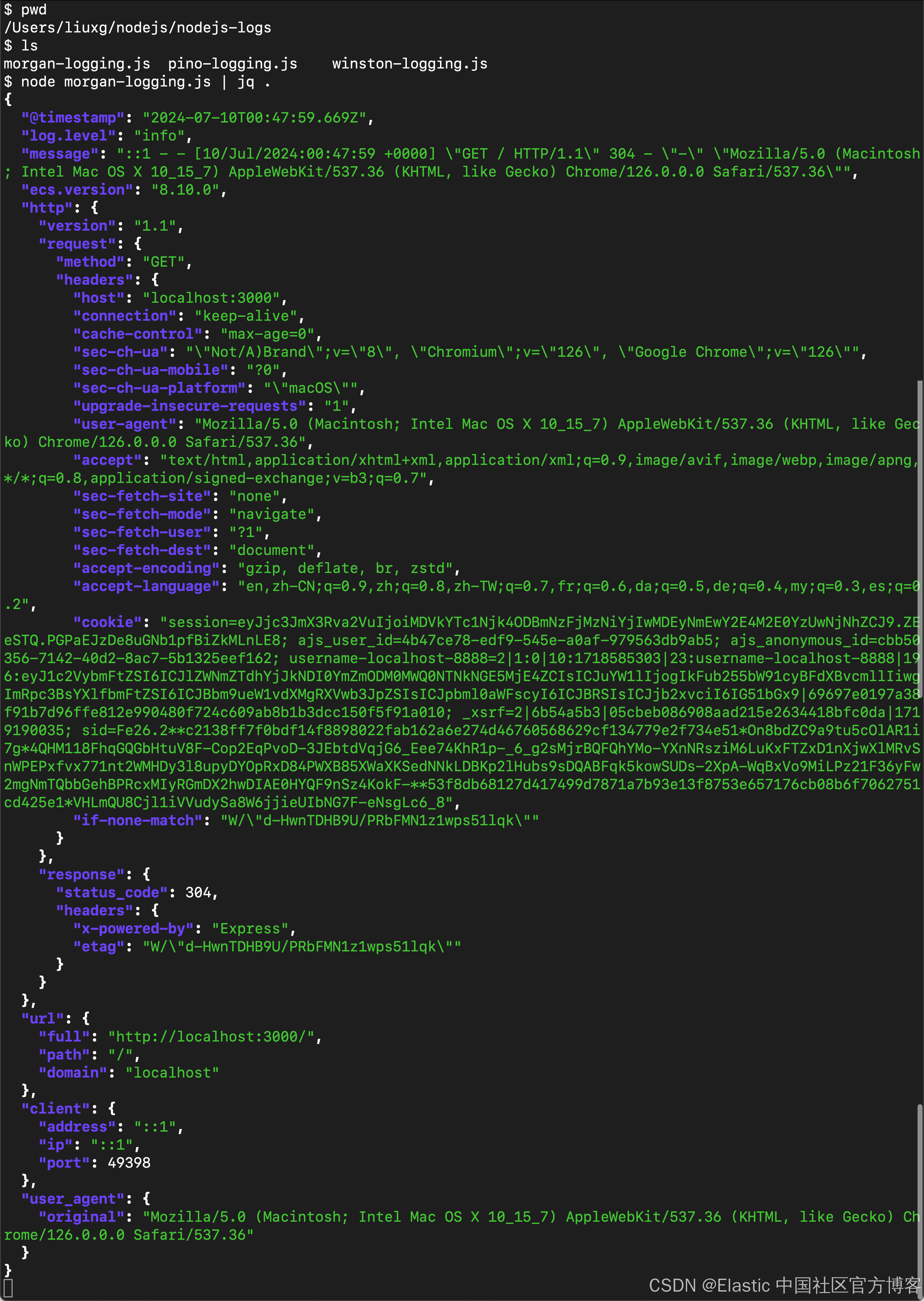 Elasticsearch：Node.js ECS 日志记录 - Morgan