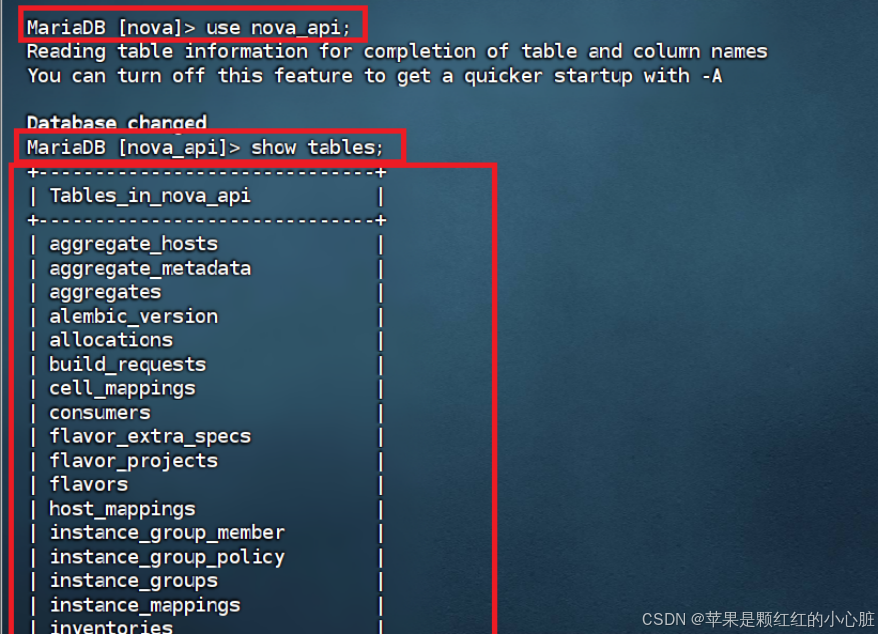 云计算实训（实验5、实验6）_nova api登录到host节点