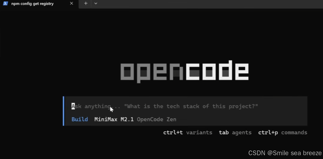 安装下载openCode 步骤和方法_opencode下载-CSDN博客