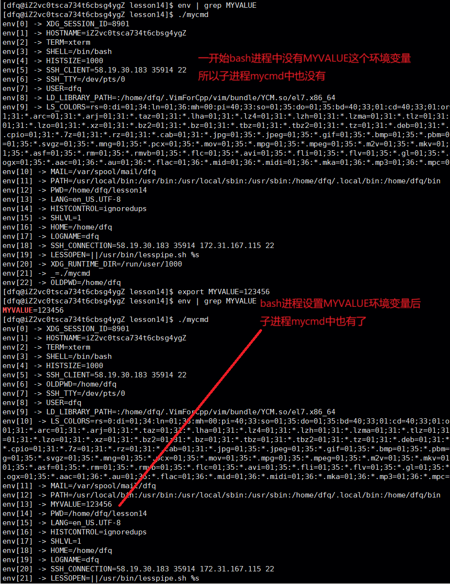 Linux之【环境变量】(env、echo、set、export、unset、PATH、getenv、putenv与setenv、chdir ...