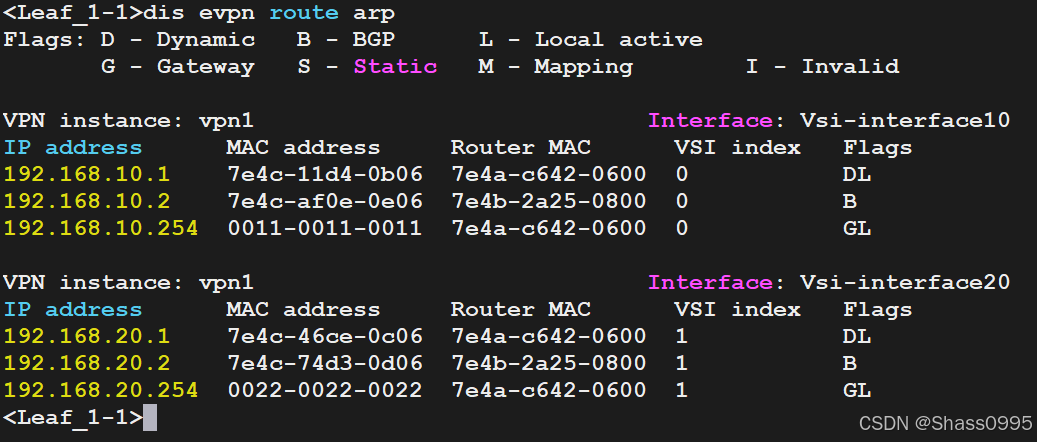 Leaf_1-1_EVPN_ARP_Routes