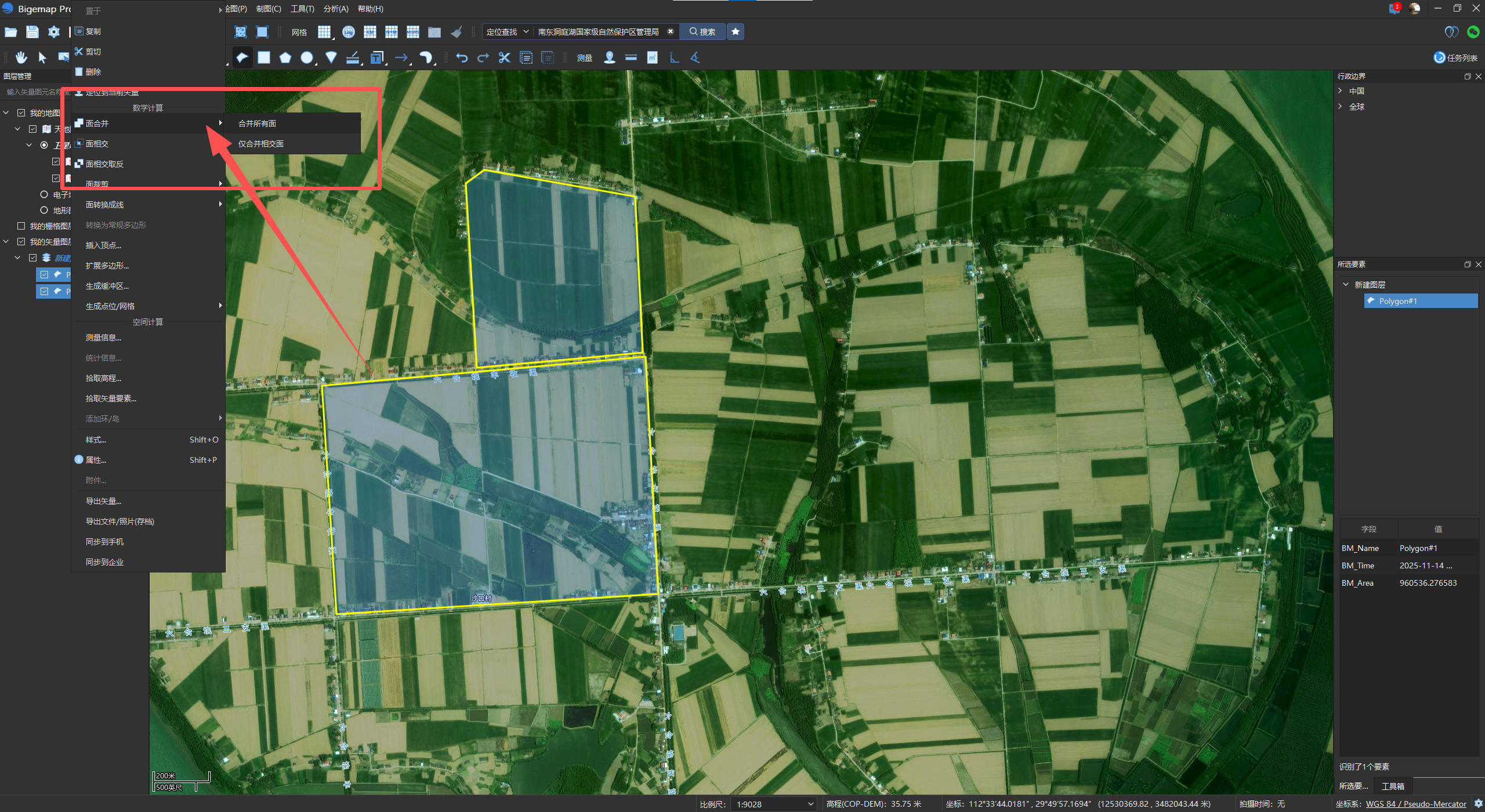 Bigemap Pro面要素全解-CSDN博客