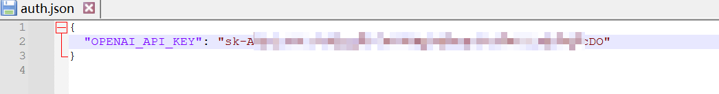 修改 auth.json