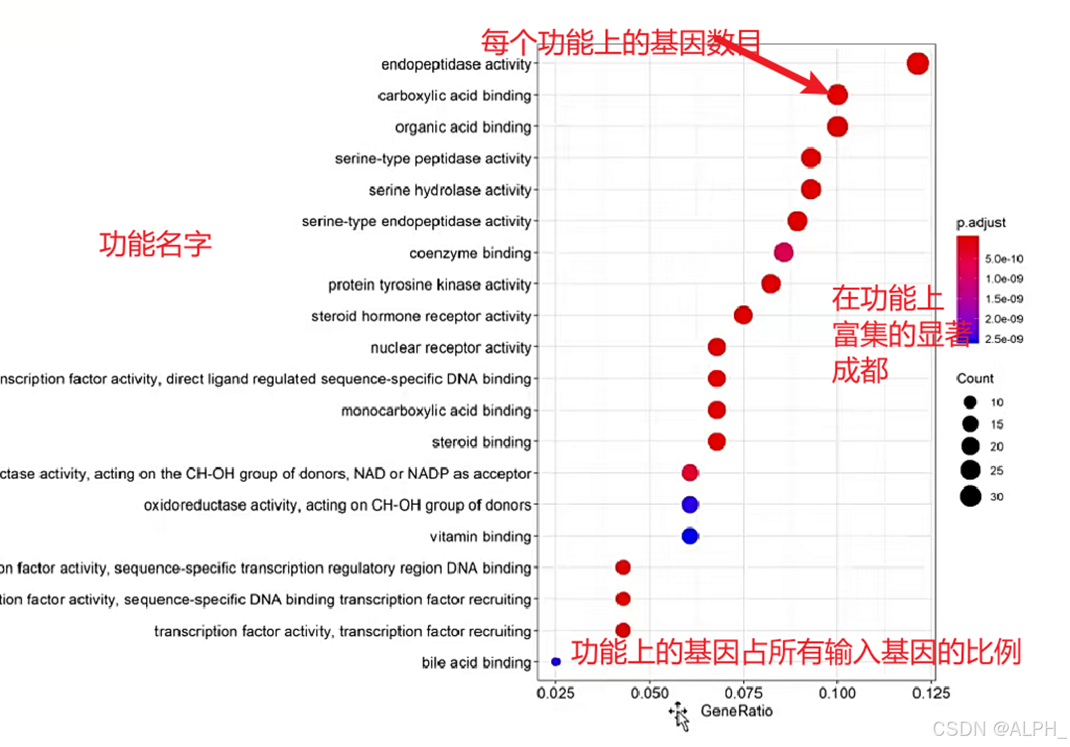 功能分析GO和通路分析KEGG（以药物分析为例）