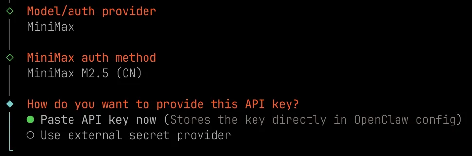 粘贴 API Key