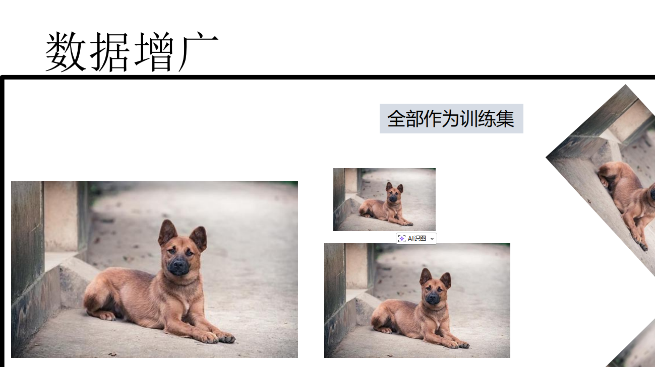 高级增广技术示例