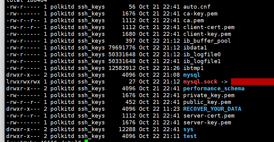 docker安装mysql