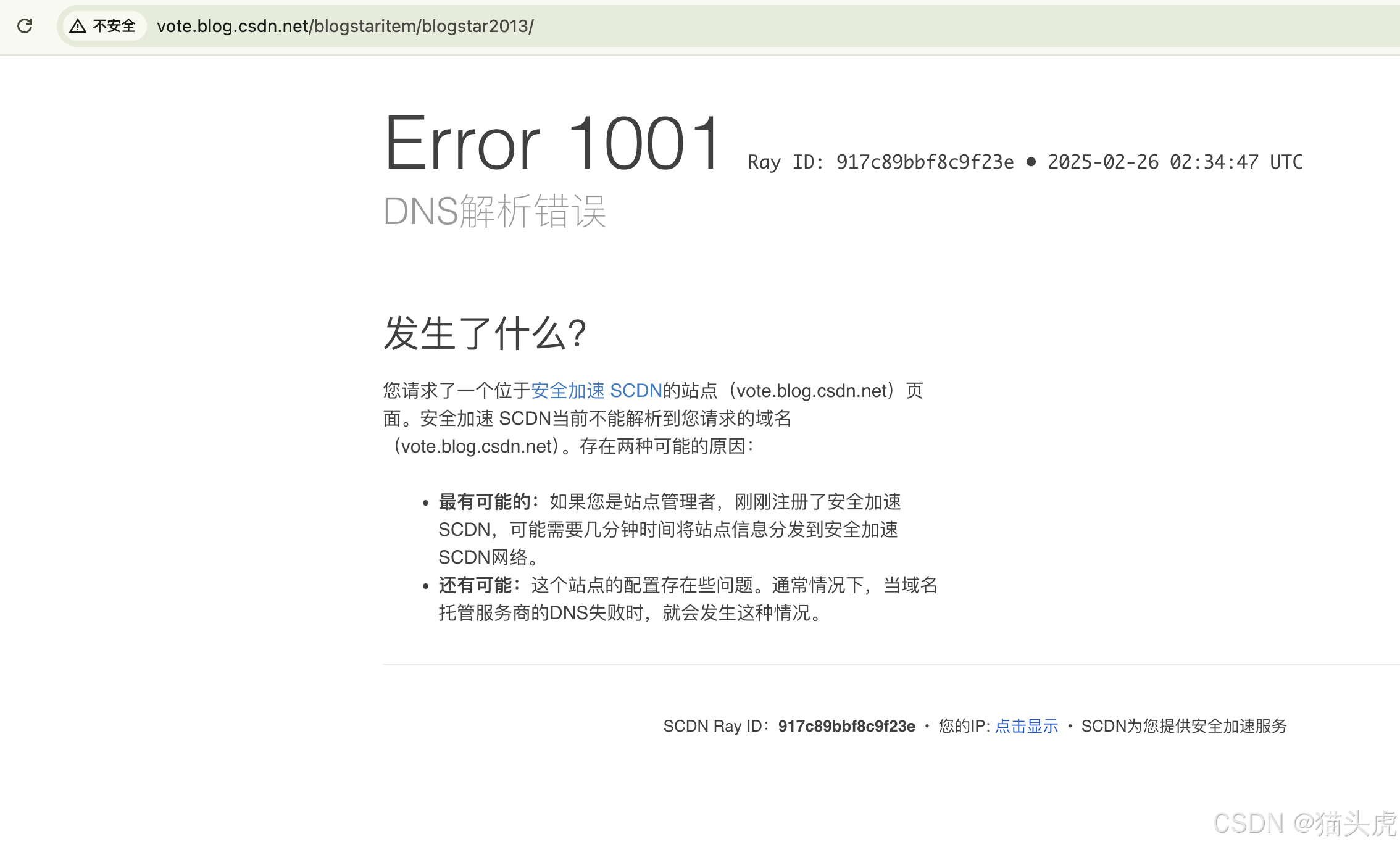 如何解决 Error 1001 DNS解析错误：Error 1001 DNS Resolution Error`（Ray ID: 917c89 ...