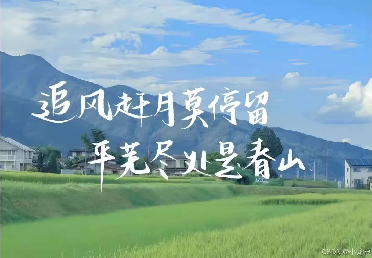 在这里插入图片描述