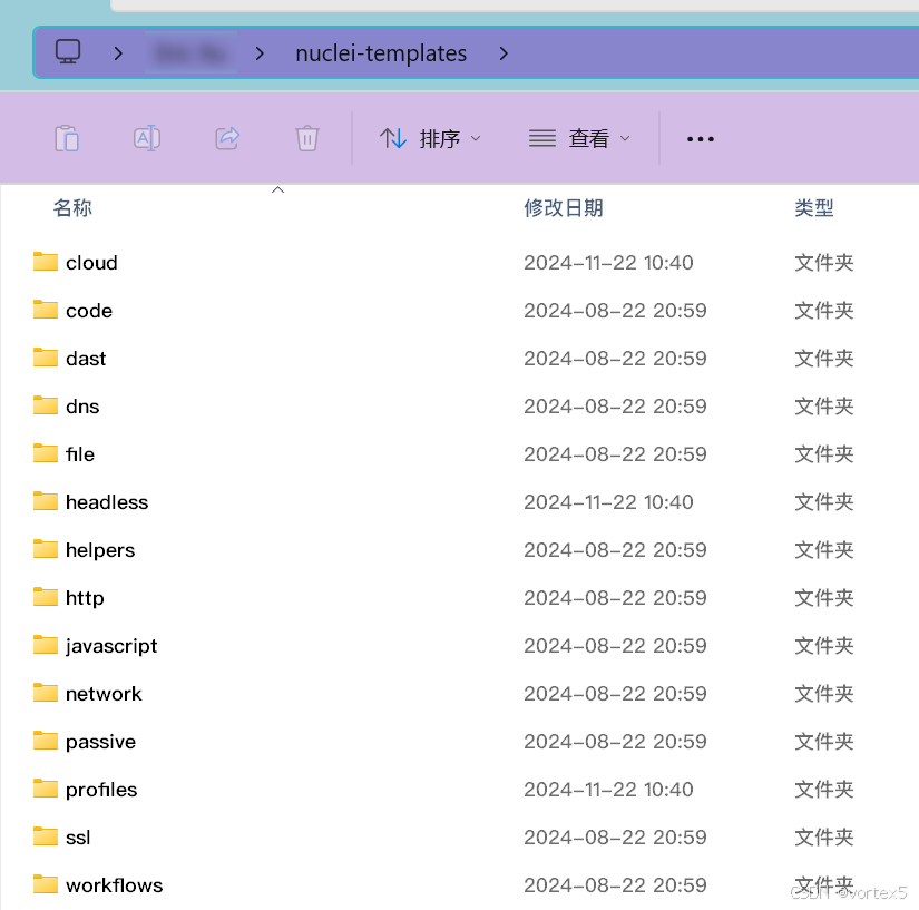 nuclei模板