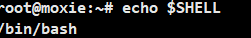 Linux 进程概念