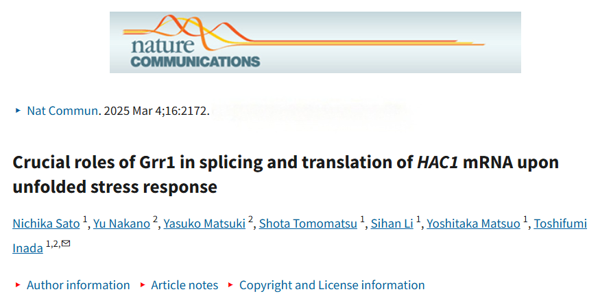 Ribo-seq+翻译组学全流程套餐｜一站式解锁翻译调控“密码本”_翻译全过程及调控机制图-CSDN博客