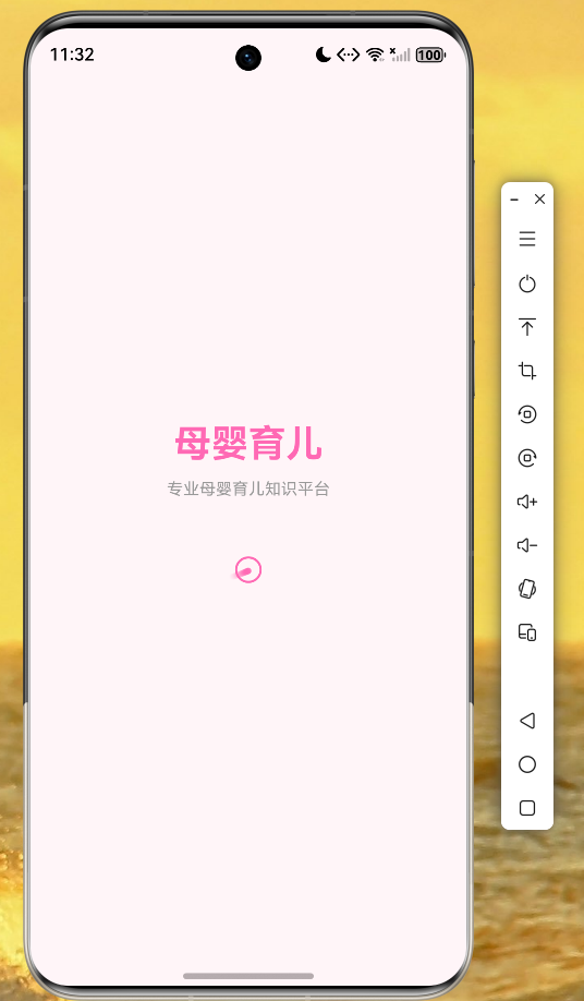 App launch screen
