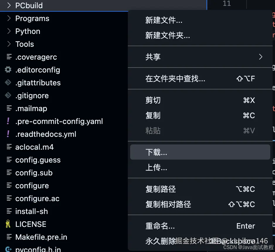 无需配置设备，借助GitHub快速编译项目并直接运行！_github codespace